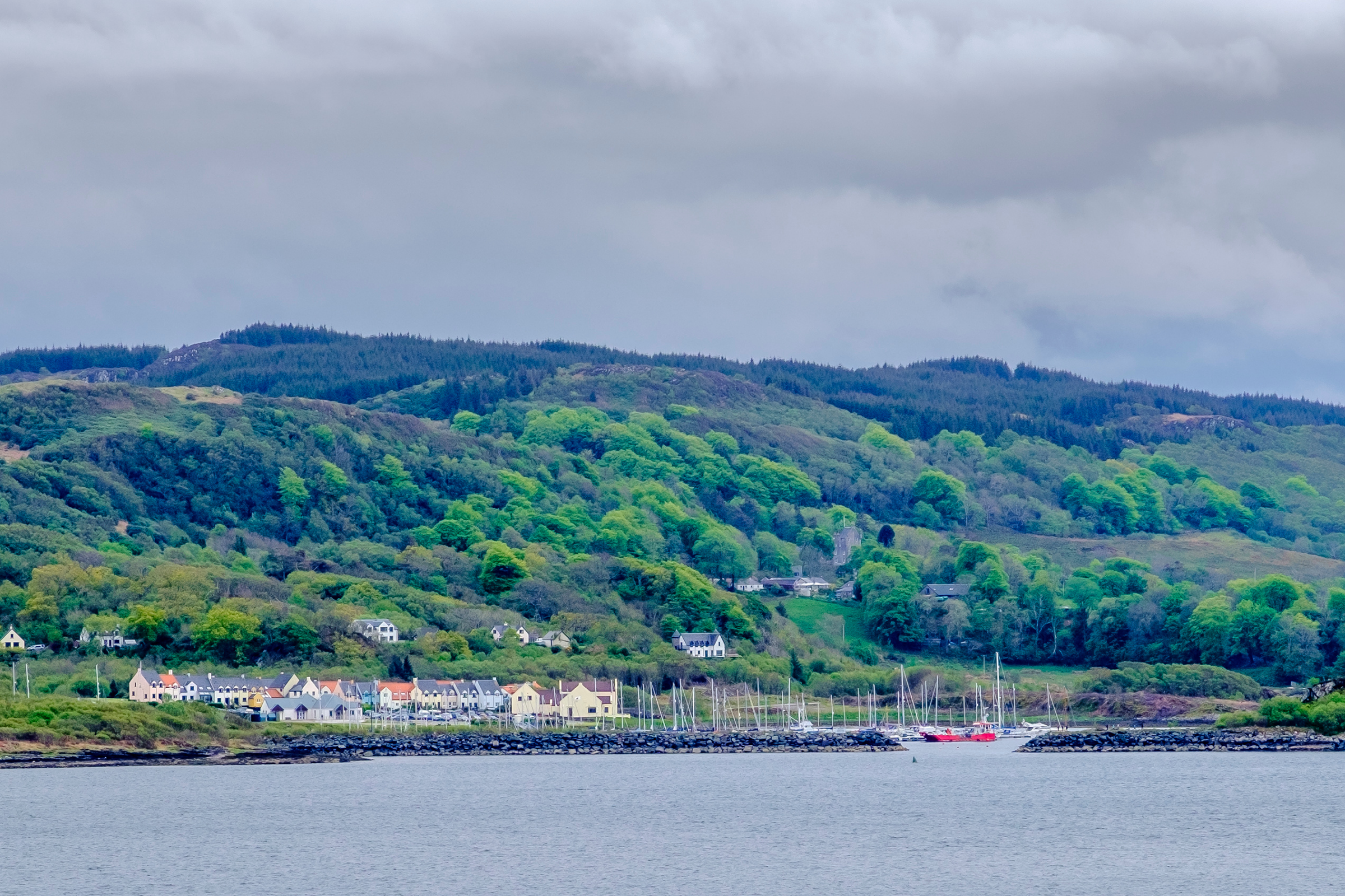 craobh haven.webp